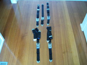seatbelts004.jpg