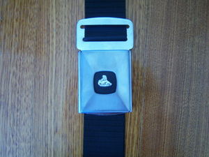 seatbelts005.jpg